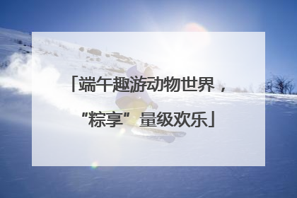 端午趣游动物世界，“粽享”量级欢乐