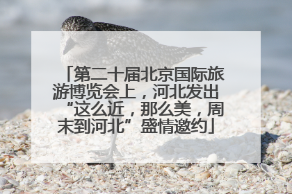 第二十届北京国际旅游博览会上，河北发出“这么近，那么美，周末到河北”盛情邀约