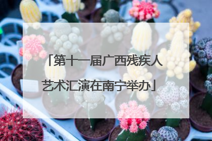 第十一届广西残疾人艺术汇演在南宁举办