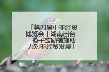 第四届中非经贸博览会丨湖南出台一揽子鼓励措施助力对非经贸发展