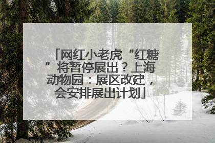 网红小老虎“红糖”将暂停展出？上海动物园：展区改建，会安排展出计划