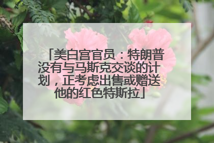 美白宫官员：特朗普没有与马斯克交谈的计划，正考虑出售或赠送他的红色特斯拉