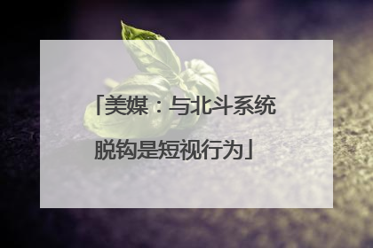 美媒：与北斗系统脱钩是短视行为