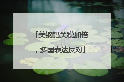 美钢铝关税加倍，多国表达反对