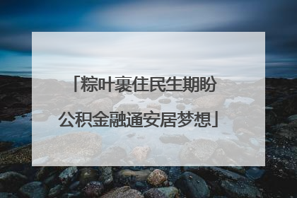 粽叶裹住民生期盼 公积金融通安居梦想