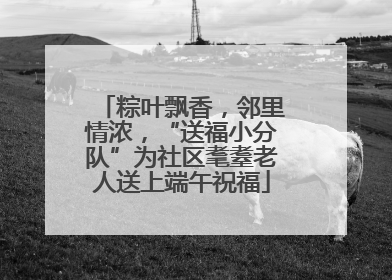 粽叶飘香，邻里情浓，“送福小分队”为社区耄耋老人送上端午祝福