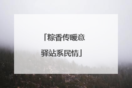 粽香传暖意 驿站系民情