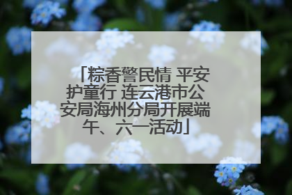 粽香警民情 平安护童行 连云港市公安局海州分局开展端午、六一活动
