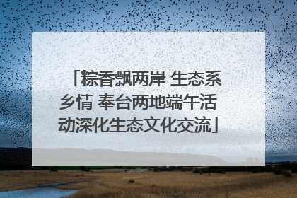 粽香飘两岸 生态系乡情 奉台两地端午活动深化生态文化交流