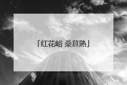 红花峪 桑葚熟