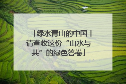 绿水青山的中国丨请查收这份“山水与共”的绿色答卷