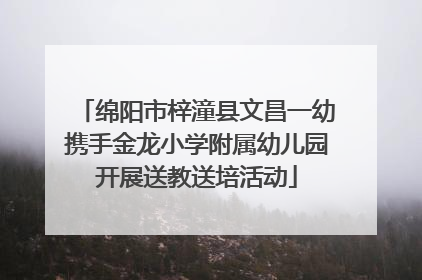 绵阳市梓潼县文昌一幼携手金龙小学附属幼儿园开展送教送培活动