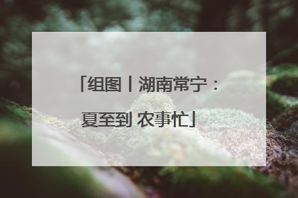 组图丨湖南常宁：夏至到 农事忙