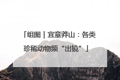 组图｜宜章莽山：各类珍稀动物频“出镜”