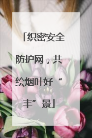 织密安全防护网，共绘烟叶好“丰”景