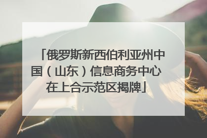 俄罗斯新西伯利亚州中国（山东）信息商务中心在上合示范区揭牌
