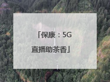 保康：5G直播助茶香