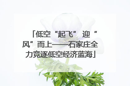 低空“起飞” 迎“风”而上——石家庄全力竞逐低空经济蓝海
