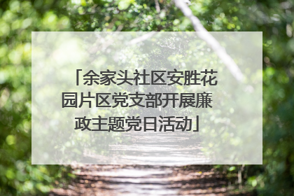 余家头社区安胜花园片区党支部开展廉政主题党日活动