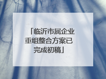临沂市属企业重组整合方案已完成初稿