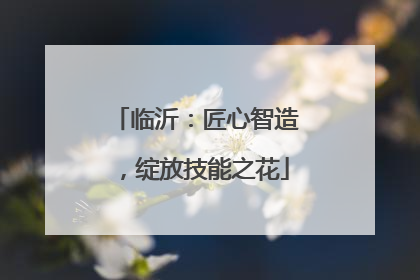 临沂：匠心智造，绽放技能之花