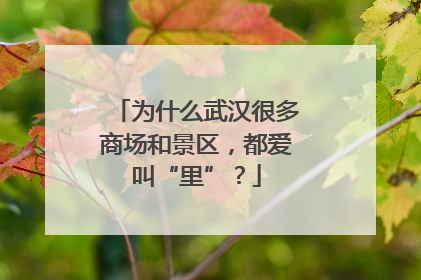 为什么武汉很多商场和景区，都爱叫“里”？