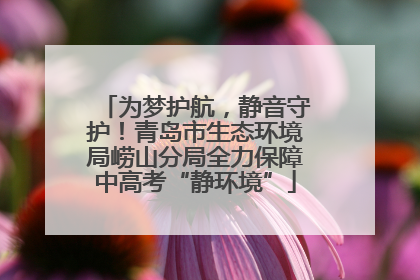 为梦护航，静音守护！青岛市生态环境局崂山分局全力保障中高考“静环境”