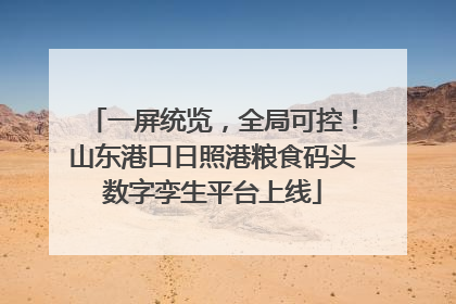 一屏统览，全局可控！山东港口日照港粮食码头数字孪生平台上线