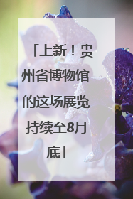 上新！贵州省博物馆的这场展览持续至8月底