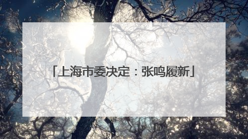 上海市委决定：张鸣履新