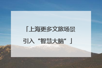 上海更多文旅场景引入“智慧大脑”