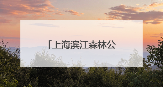 上海滨江森林公园绣球花展启幕，近5万株绣球花海打造治愈系画面