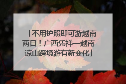 不用护照即可游越南两日！广西凭祥—越南谅山跨境游有新变化