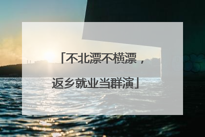 不北漂不横漂，返乡就业当群演