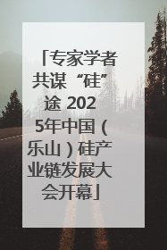 专家学者共谋“硅”途 2025年中国（乐山）硅产业链发展大会开幕