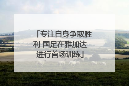 专注自身争取胜利 国足在雅加达进行首场训练