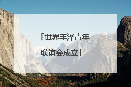 世界丰泽青年联谊会成立