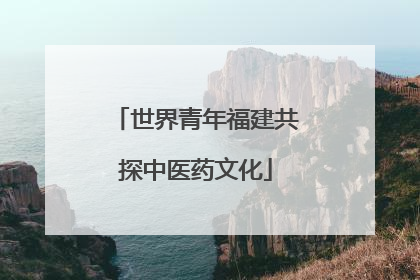 世界青年福建共探中医药文化
