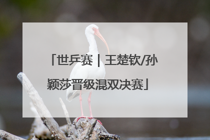 世乒赛｜王楚钦/孙颖莎晋级混双决赛