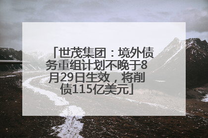 世茂集团：境外债务重组计划不晚于8月29日生效，将削债115亿美元