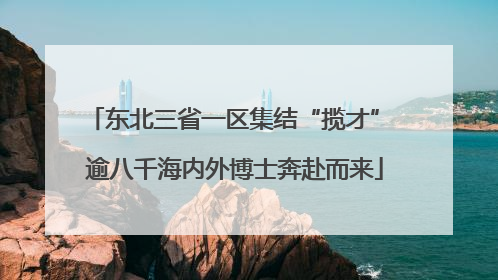 东北三省一区集结“揽才” 逾八千海内外博士奔赴而来