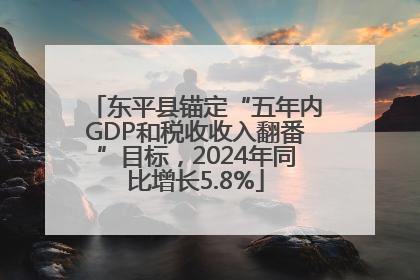 东平县锚定“五年内GDP和税收收入翻番”目标，2024年同比增长5.8%