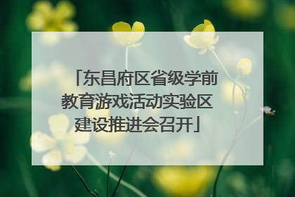 东昌府区省级学前教育游戏活动实验区建设推进会召开