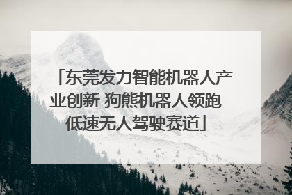 东莞发力智能机器人产业创新 狗熊机器人领跑低速无人驾驶赛道