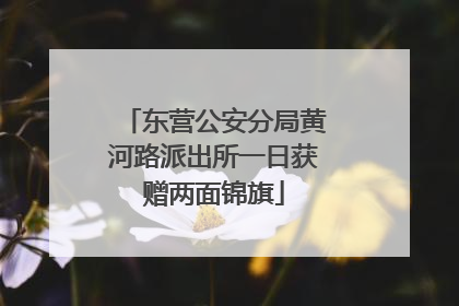 东营公安分局黄河路派出所一日获赠两面锦旗