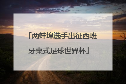 两蚌埠选手出征西班牙桌式足球世界杯