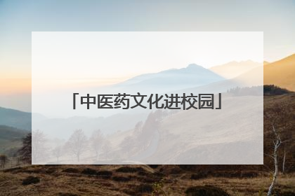中医药文化进校园