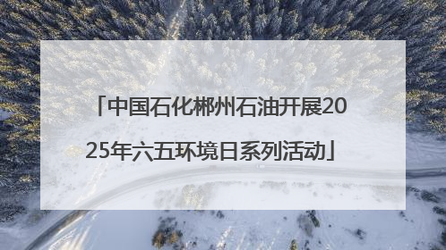 中国石化郴州石油开展2025年六五环境日系列活动