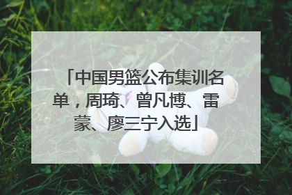 中国男篮公布集训名单，周琦、曾凡博、雷蒙、廖三宁入选