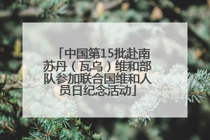 中国第15批赴南苏丹（瓦乌）维和部队参加联合国维和人员日纪念活动